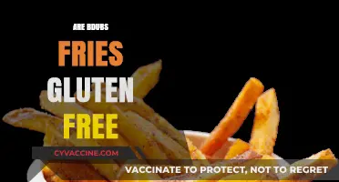 Are Bdubs Fries Gluten-Free? A Complete Guide for Celiac Diners