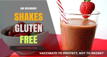 Are Beachbody Shakes Gluten-Free? A Complete Nutritional Breakdown