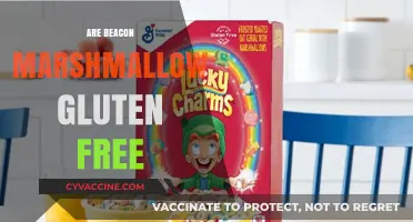 Are Beacon Marshmallows Gluten-Free? A Complete Guide for Dieters