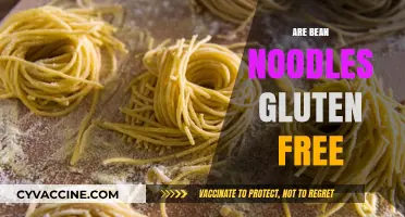 Are Bean Noodles Gluten-Free? A Clear Answer for Celiac Diets
