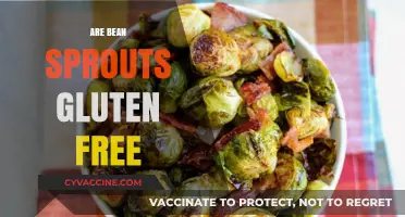 Are Bean Sprouts Gluten-Free? A Comprehensive Guide for Celiac Diets