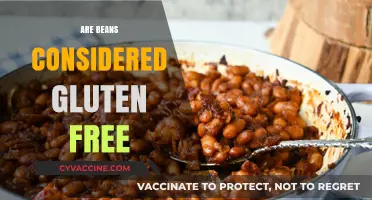 Are Beans Gluten-Free? Unraveling the Truth for a Healthy Diet