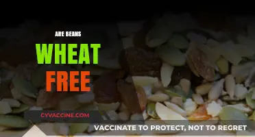 Are Beans Wheat-Free? A Clear Guide to Gluten-Free Legumes