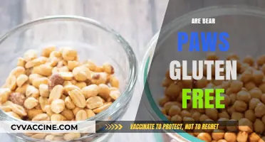 Are Bear Paws Gluten-Free? A Complete Guide to Ingredients