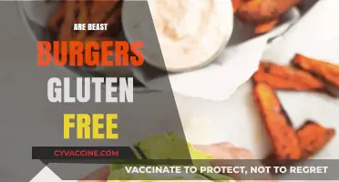 Are Beast Burgers Gluten-Free? A Complete Guide for Dietary Needs