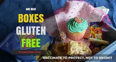 Are Beat Boxes Gluten-Free? Unpacking Ingredients and Dietary Concerns