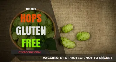 Are Beer Hops Gluten-Free? Unraveling the Truth for Celiac Drinkers