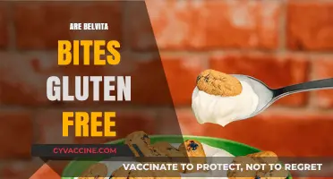 Are Belvita Bites Gluten-Free? A Complete Guide for Snack Lovers