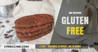 Are Belvita Breakfast Biscuits Gluten-Free? A Complete Guide