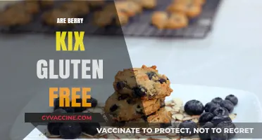 Berry Kix Gluten-Free Status: Facts, Ingredients, and Dietary Considerations