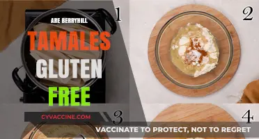 Berryhill Tamales: Gluten-Free or Not? A Comprehensive Guide