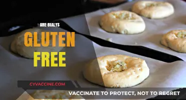 Are Bialys Gluten-Free? Unraveling the Truth About This Jewish Bread