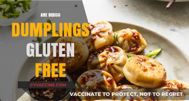 Are Bibigo Dumplings Gluten-Free? A Complete Guide for Dumpling Lovers