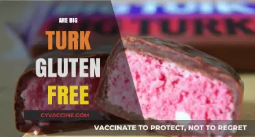 Are Big Turk Bars Gluten-Free? A Sweet Snack Investigation