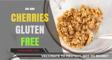Are Bing Cherries Gluten-Free? A Complete Nutritional Guide