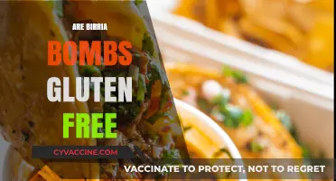 Are Birria Bombs Gluten Free? A Tasty Inquiry