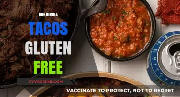 Are Birria Tacos Gluten Free? A Delicious Dietary Dilemma Explored