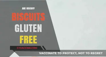 Are Biscoff Biscuits Gluten-Free? A Complete Guide for Celiacs