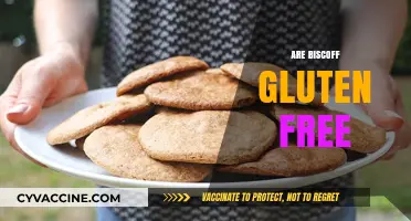 Are Biscoff Gluten-Free? A Complete Guide to Your Favorite Cookie Butter