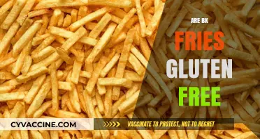 Are BK Fries Gluten-Free? A Complete Guide for Celiac Diners
