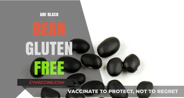Are Black Beans Gluten-Free? A Complete Guide for Celiac Diets
