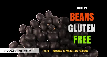 Are Black Beans Gluten-Free? A Complete Guide to Safe Eating