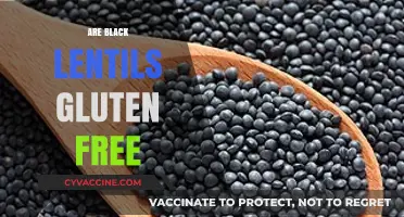 Are Black Lentils Gluten-Free? A Complete Nutritional Guide