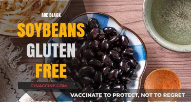 Are Black Soybeans Gluten-Free? A Nutritional Breakdown and Benefits