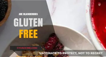 Are Blackberries Gluten-Free? A Complete Guide to Safe Snacking