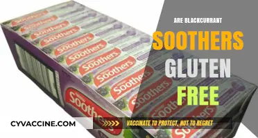 Are Blackcurrant Soothers Gluten-Free? A Complete Guide for Consumers