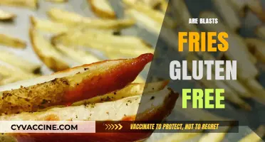 Are Blast Fries Gluten-Free? Uncovering the Truth for Celiac Diners