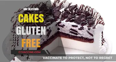 Are Blizzard Cakes Gluten-Free? A Sweet Investigation Revealed
