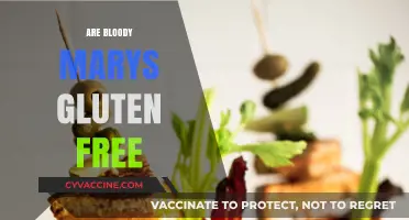 Are Bloody Marys Gluten-Free? A Guide to Safe Cocktail Choices