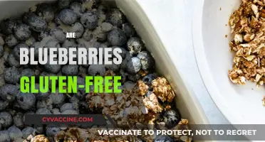 Are Blueberries Gluten-Free? A Clear Answer for Celiac Diets