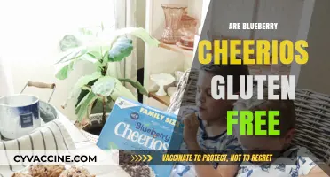 Are Blueberry Cheerios Gluten-Free? A Comprehensive Guide for Celiacs