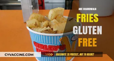 Are Boardwalk Fries Gluten-Free? A Complete Guide for Celiac Diners