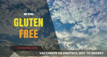 Are Boas Gluten Free? Unraveling the Truth About These Snakes