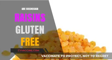 Are Boghosian Raisins Gluten-Free? A Complete Guide for Consumers