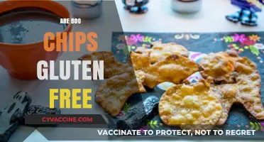 Are Boo Chips Gluten-Free? A Snack Lover's Guide to Ingredients
