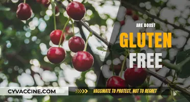 Are Boost Drinks Gluten-Free? A Comprehensive Guide for Consumers