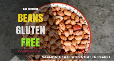 Are Borlotti Beans Gluten-Free? A Clear and Simple Answer