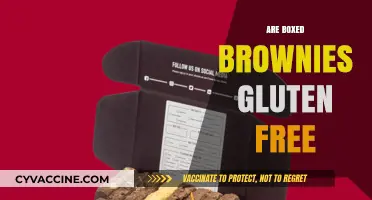 Are Boxed Brownies Gluten-Free? A Complete Guide for Celiac Bakers
