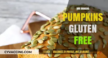 Are Brach's Pumpkins Gluten-Free? A Sweet Treat Investigation