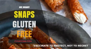 Are Brandy Snaps Gluten-Free? A Crunchy Treat Guide