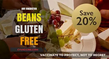 Are Branston Beans Gluten-Free? A Comprehensive Guide for Celiacs