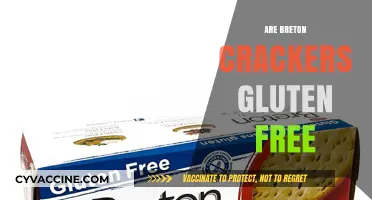 Are Breton Crackers Gluten-Free? A Complete Guide to Your Snack Choice