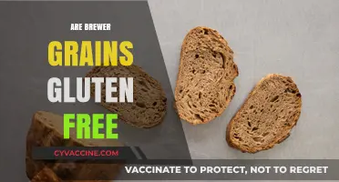 Are Brewer's Grains Gluten-Free? Unraveling the Truth for Celiacs