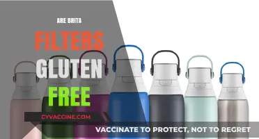 Are Brita Filters Gluten-Free? A Clear Answer for Celiac Sufferers