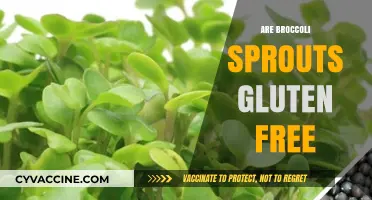 Are Broccoli Sprouts Gluten-Free? A Comprehensive Guide to Your Diet
