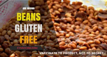 Are Brown Beans Gluten-Free? A Clear Answer for Your Diet